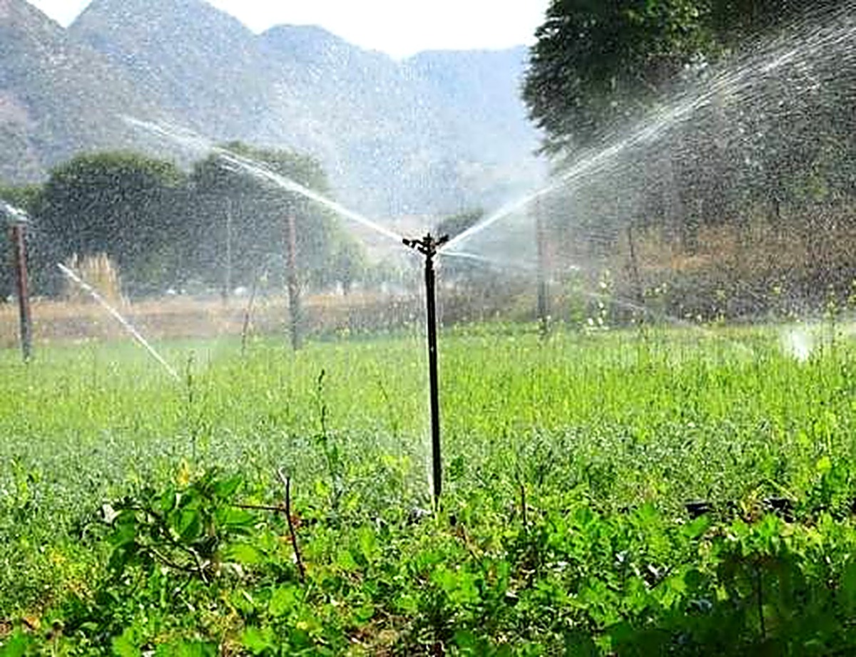 Sprinkler irrigating a green field with hills in the background